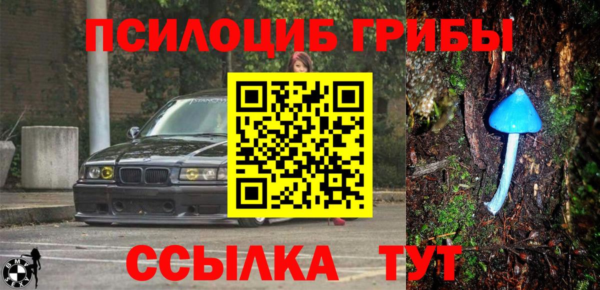 Псилоцибиновые грибы GOLDEN TEACHER  Вход с VPN  Галлюциногенные грибы мицелий  Орехово-Зуево 